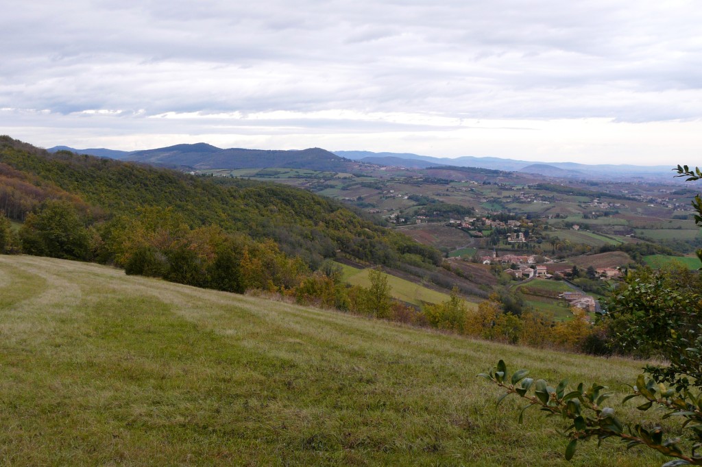 P1140624.jpg