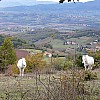 P1140626.jpg