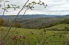 P1140628.jpg