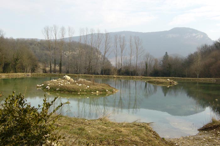 Veyrin (28)