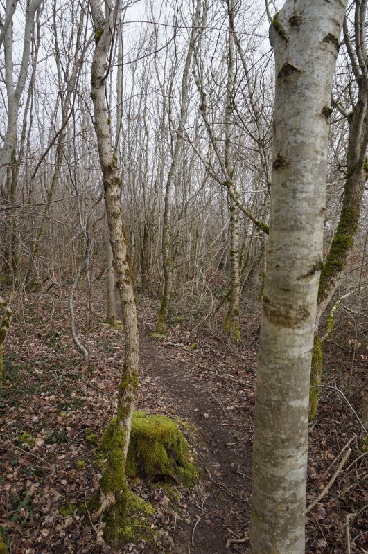 DSC06193.jpg