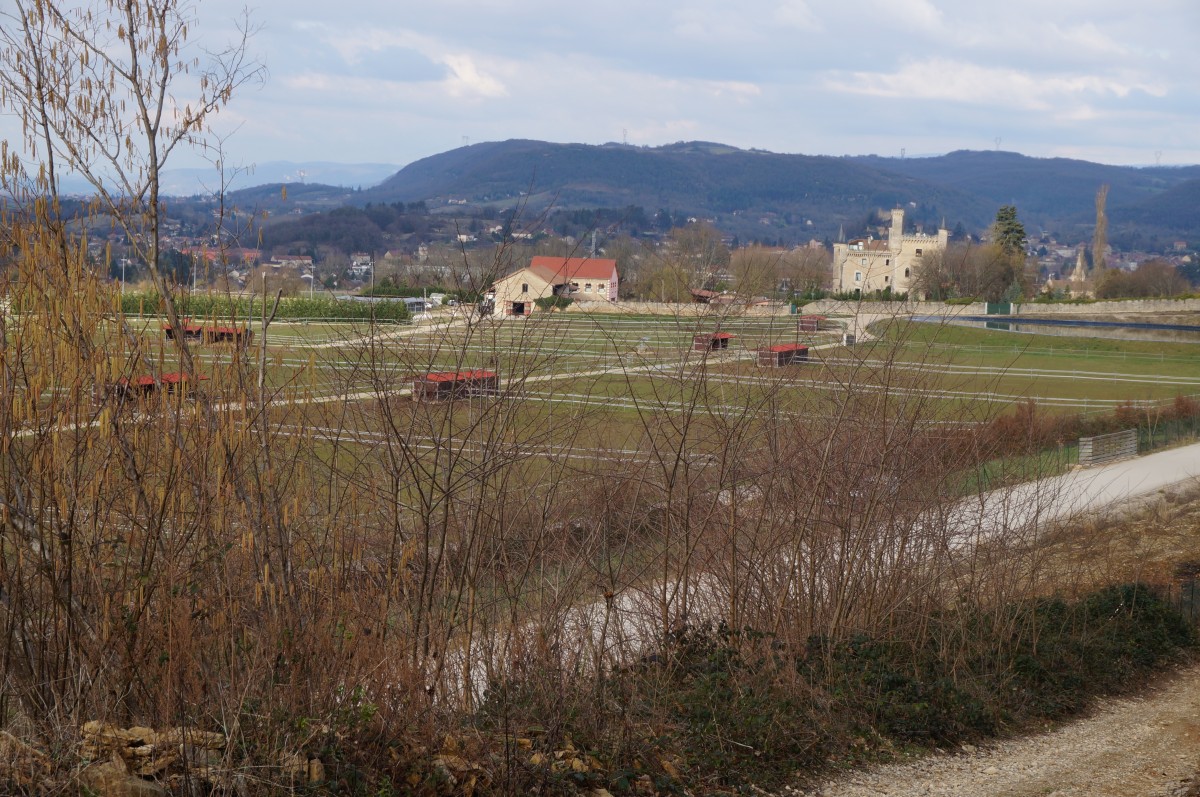 DSC06227.jpg