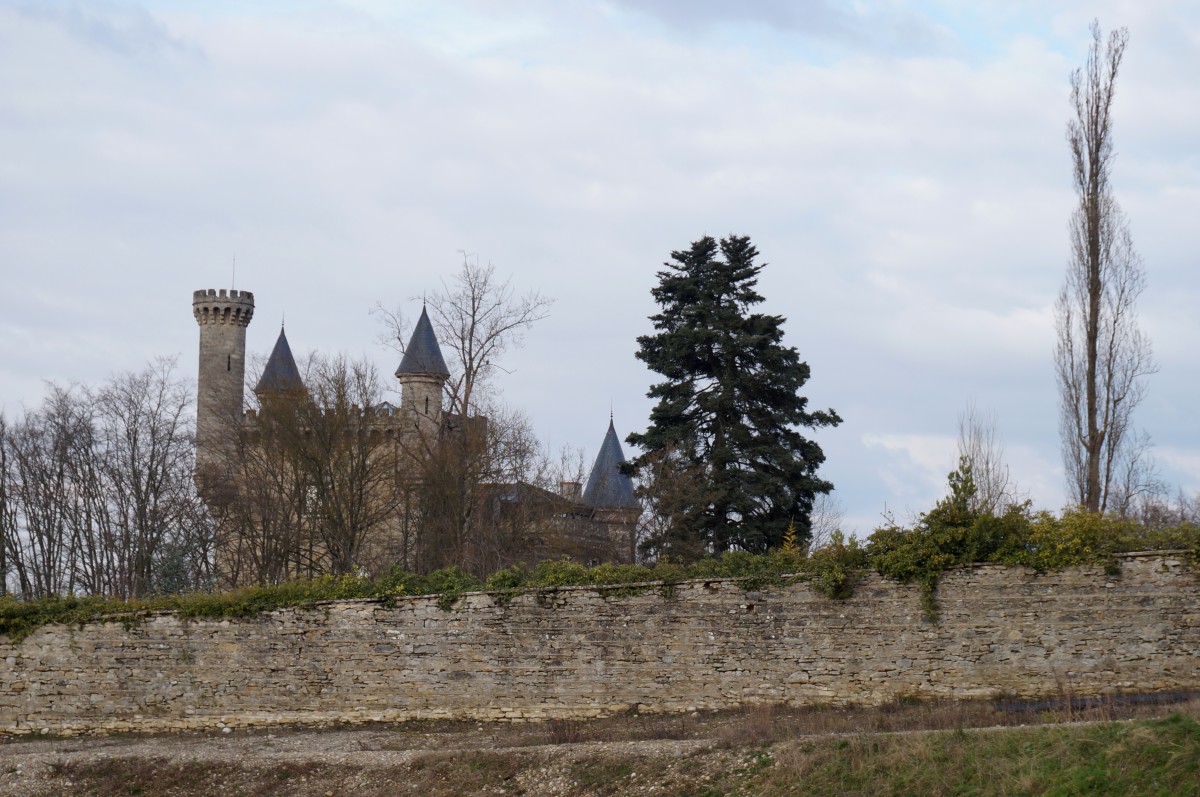 DSC06229.jpg
