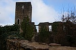 DSC06186.jpg