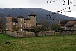 DSC06188.jpg