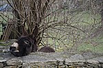 DSC06191.jpg