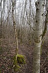 DSC06193.jpg