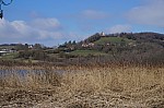 DSC06213.jpg