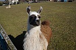 DSC06224.jpg