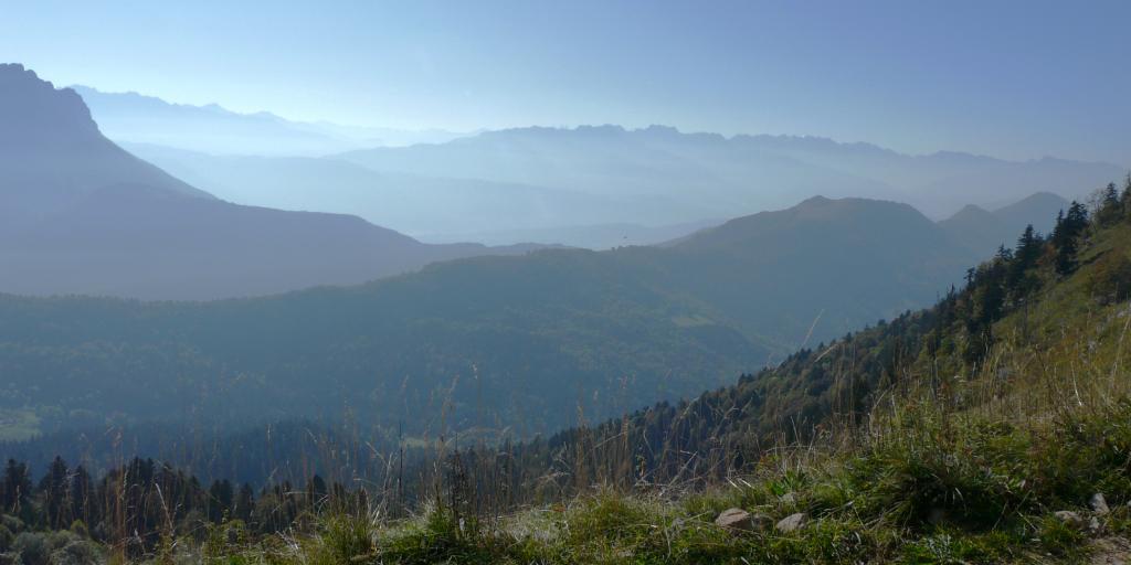 P1120242.jpg