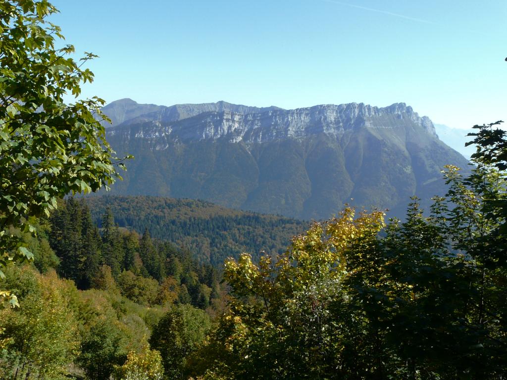 P1120269.jpg
