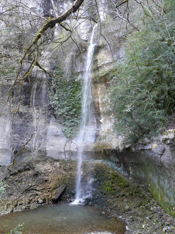 P1000615