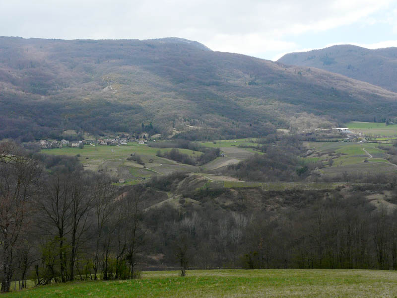 P1000654