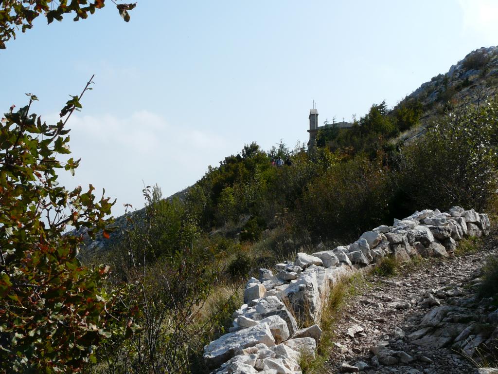 P1050716.jpg