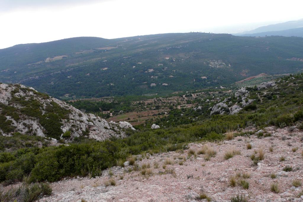 P1050727.jpg