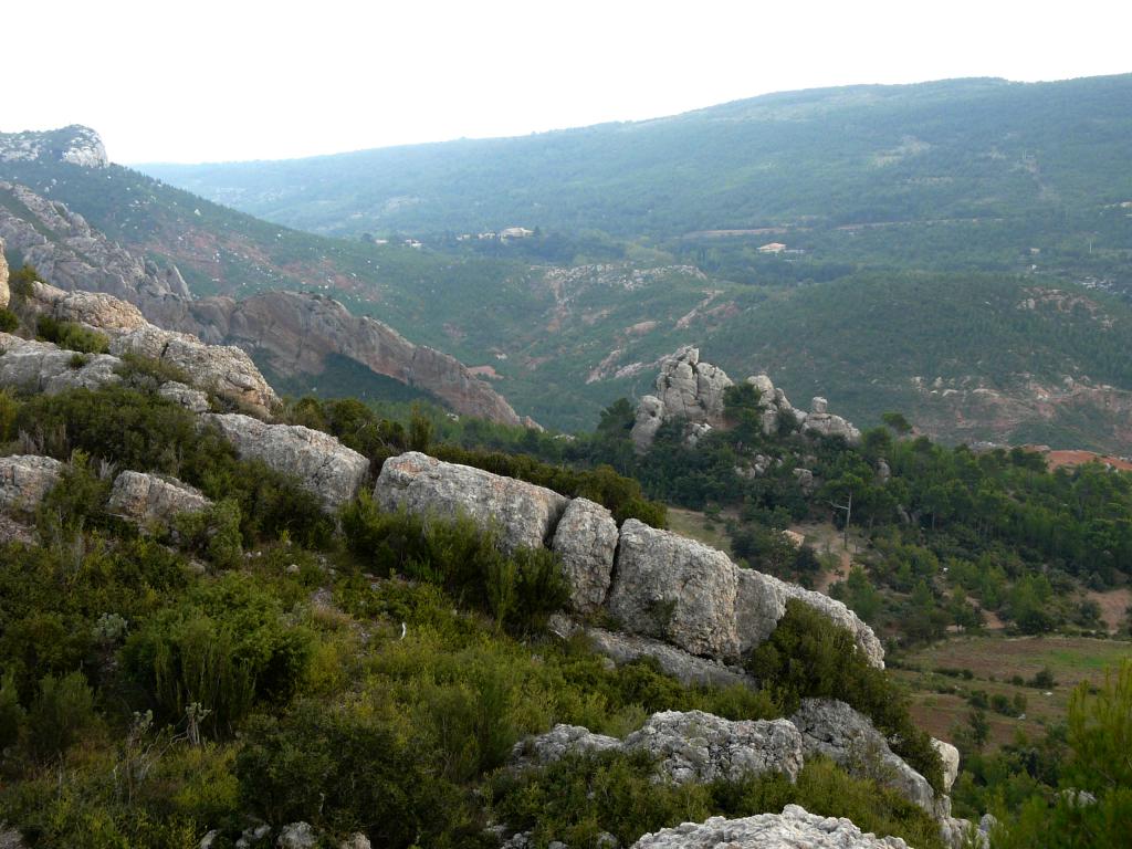 P1050730.jpg