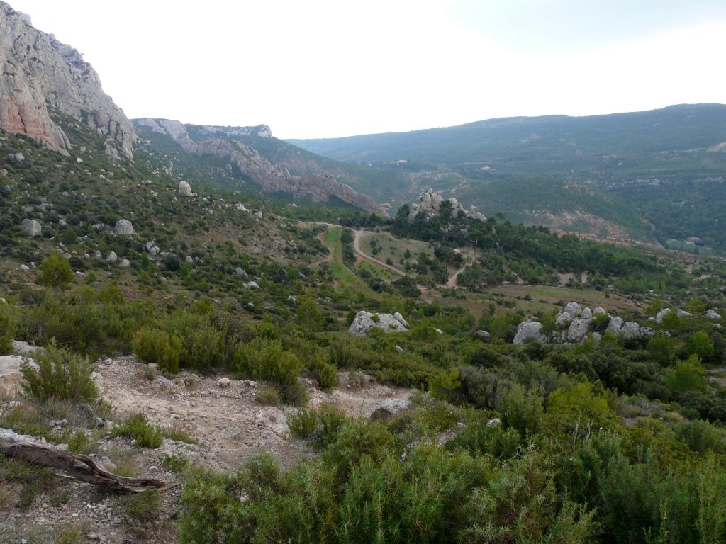 P1050731.jpg