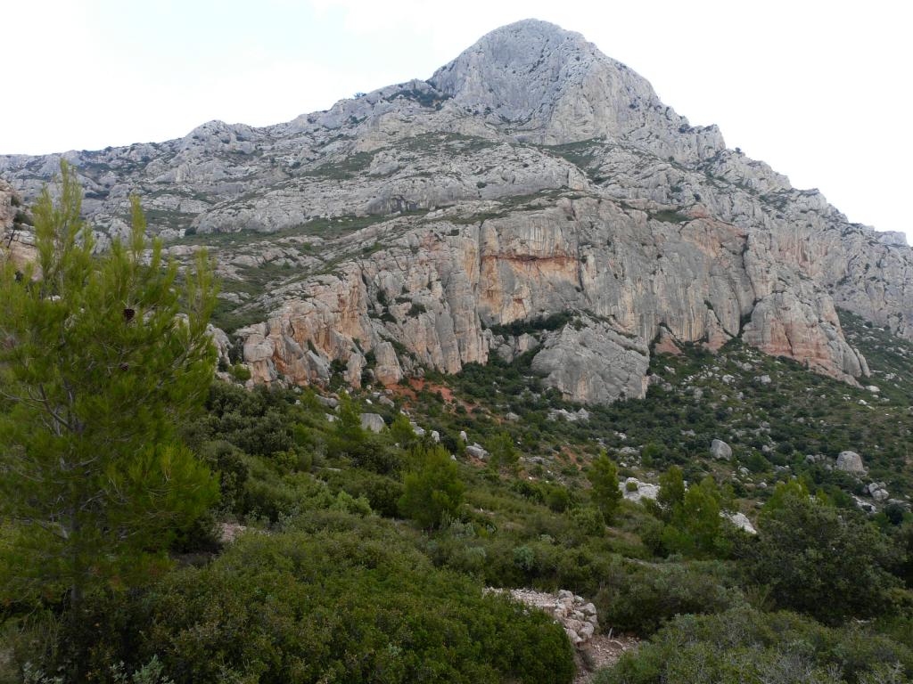 P1050732.jpg