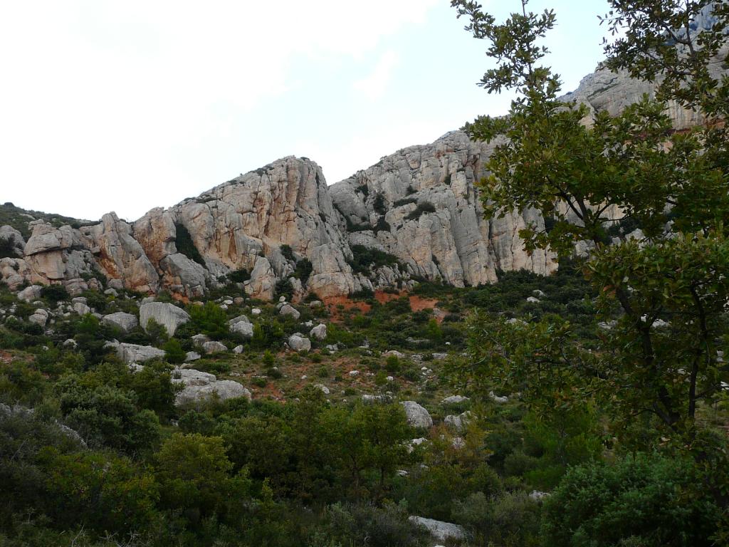 P1050734.jpg