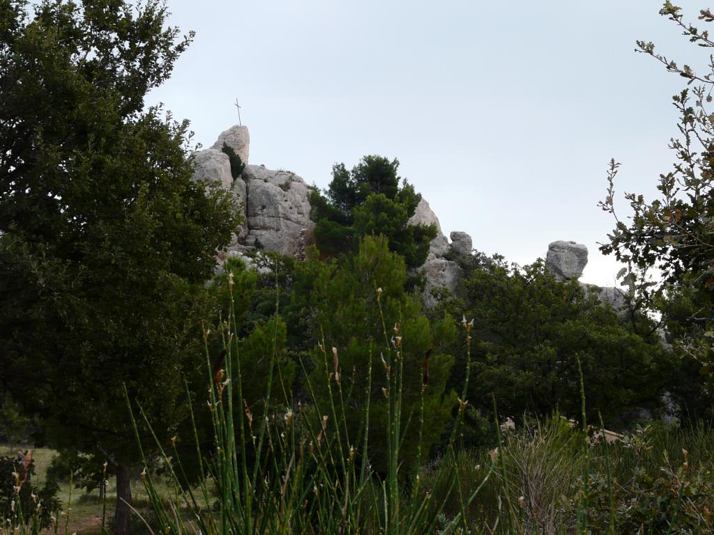 P1050735.jpg