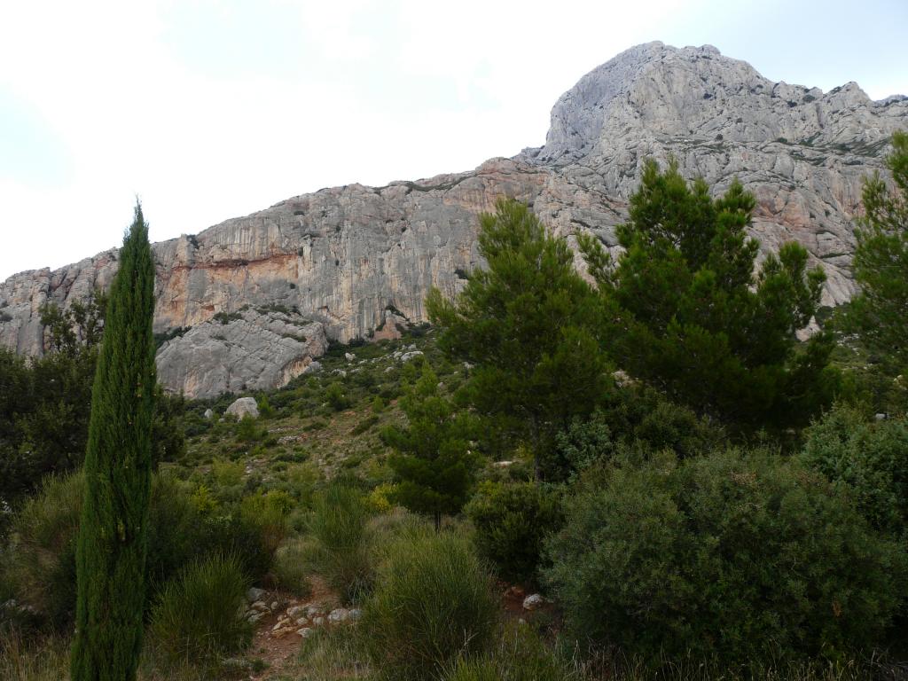P1050736.jpg