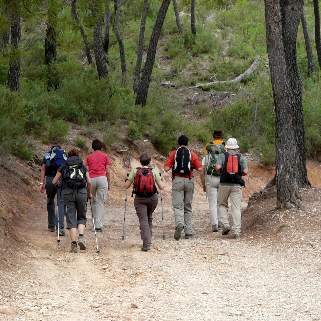 P1050744.jpg
