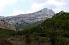 P1050743.jpg
