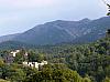 P1050755.jpg