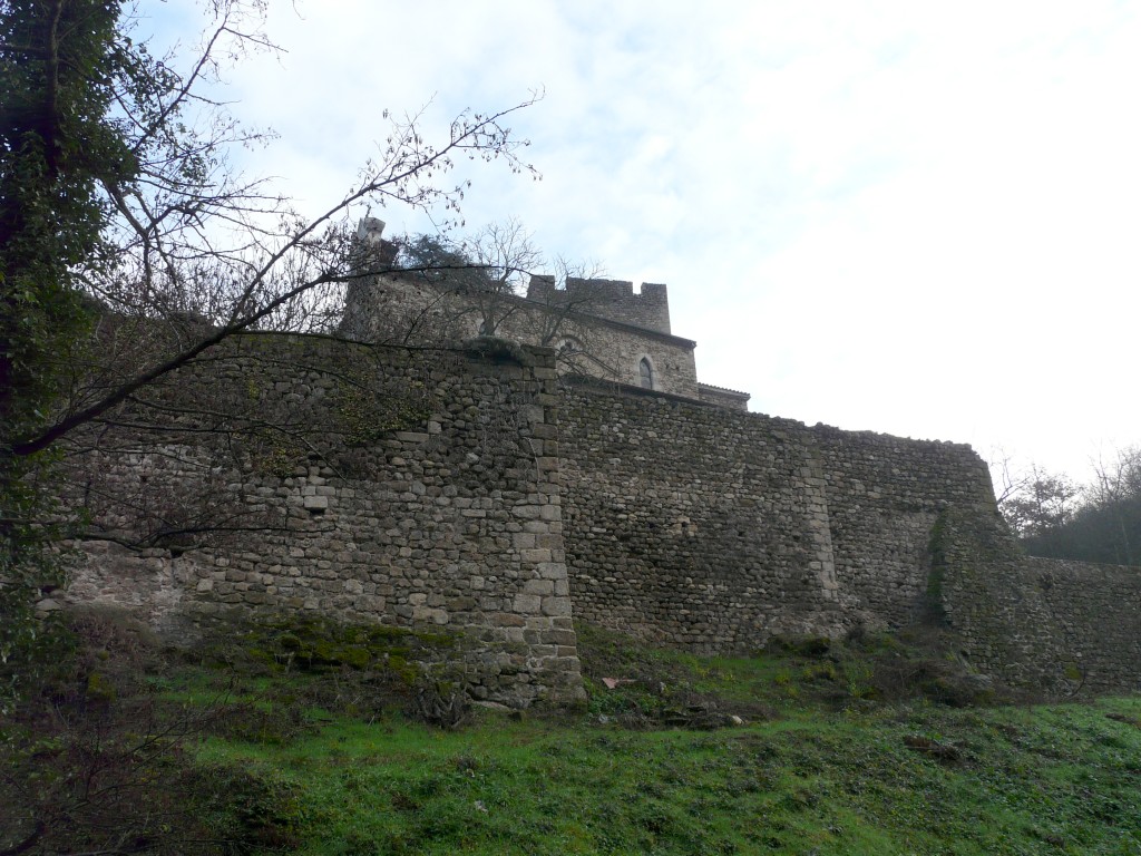 P1120445.jpg