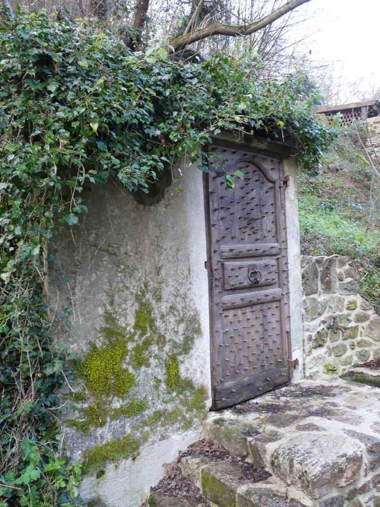 P1120446.jpg