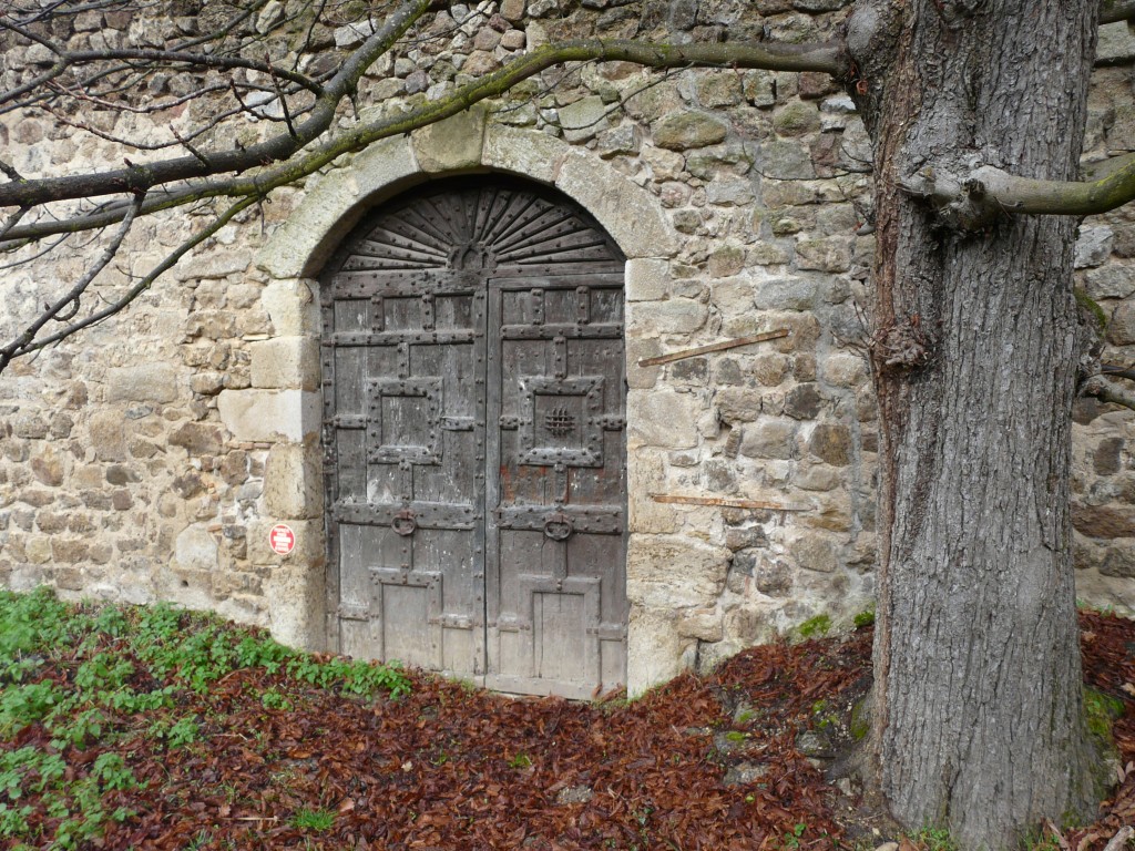 P1120448.jpg