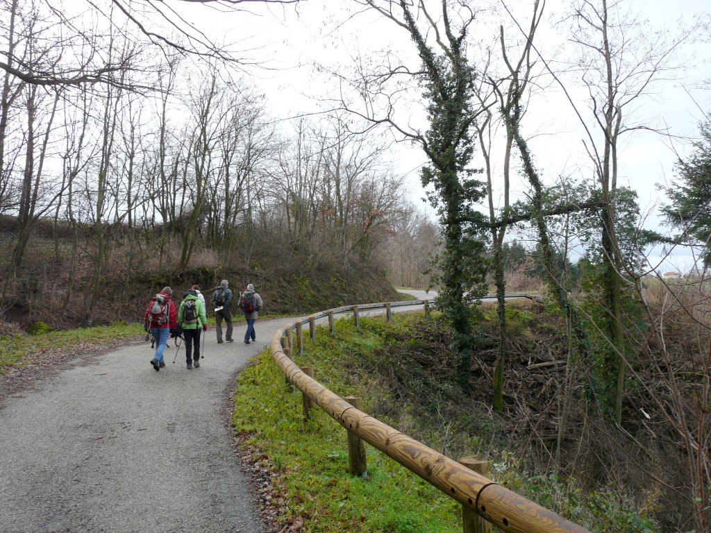 P1120454.jpg