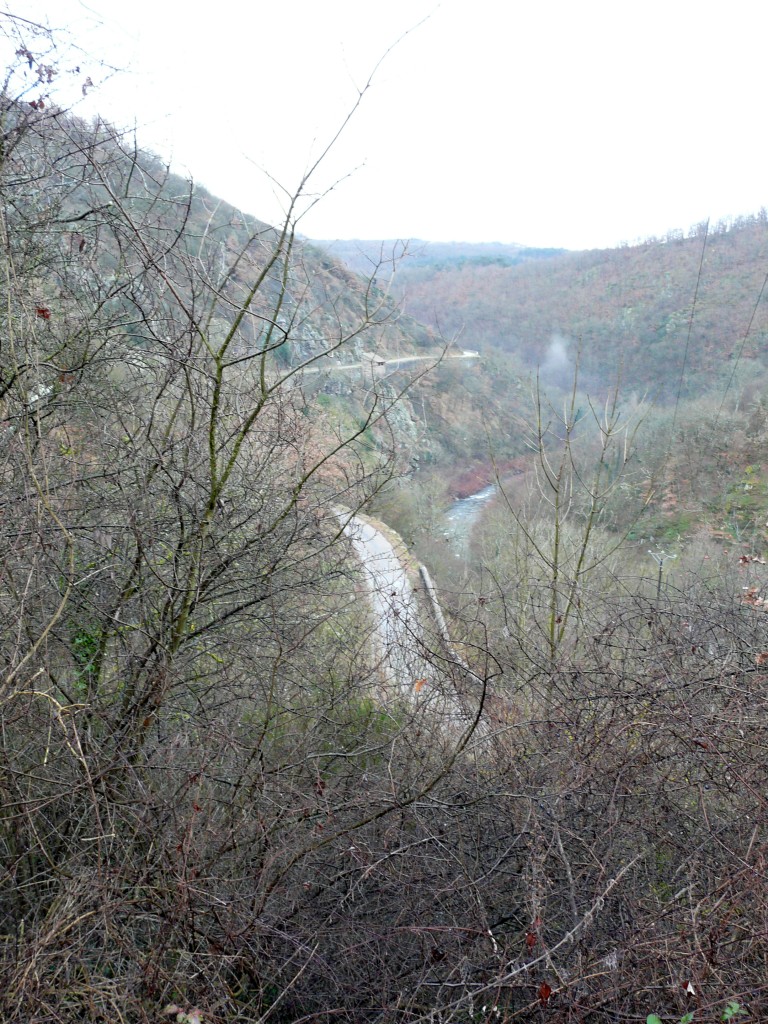 P1120460.jpg