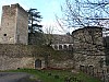 P1120449.jpg