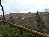 P1120451.jpg