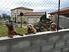 P1120456.jpg