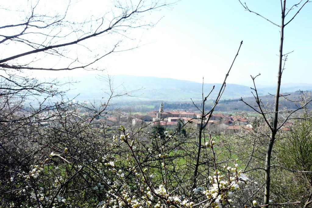 P1060342.jpg