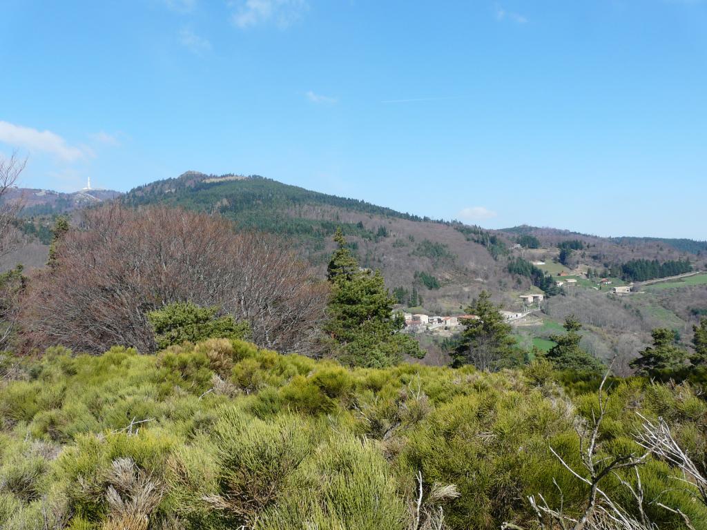 P1060343.jpg