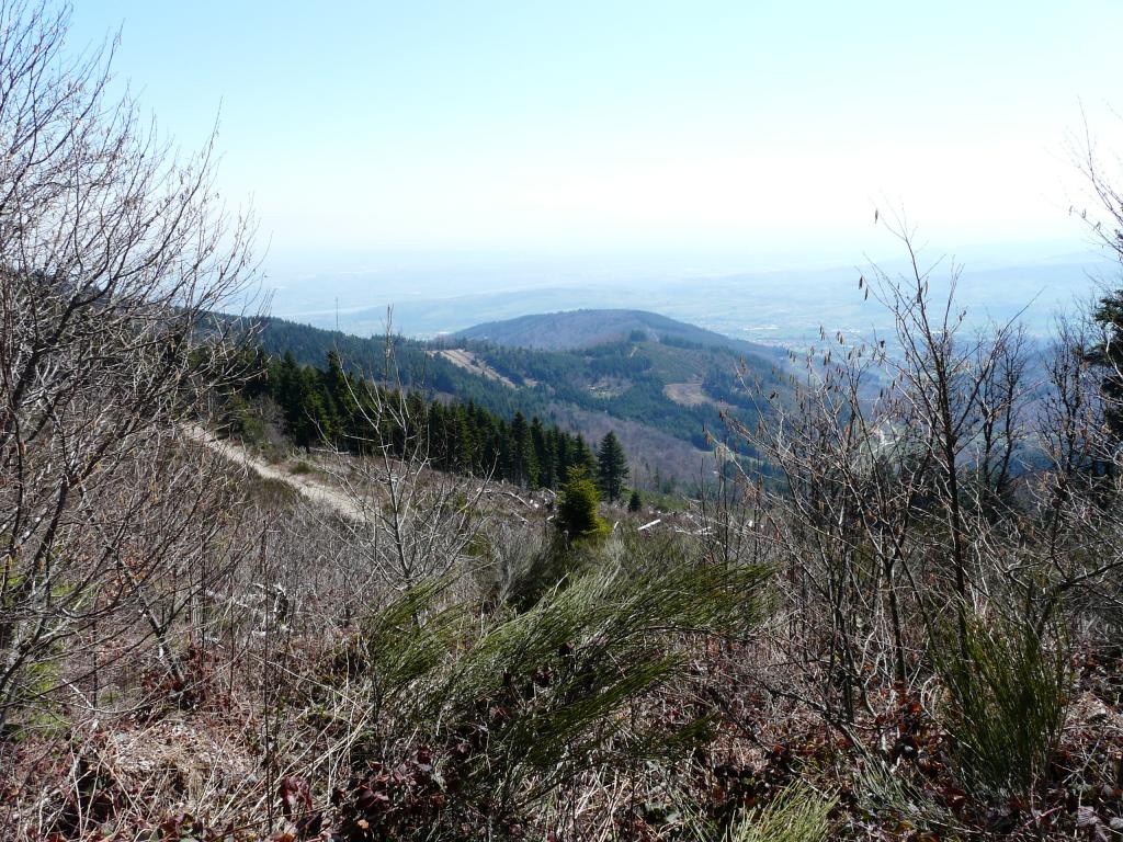 P1060345.jpg