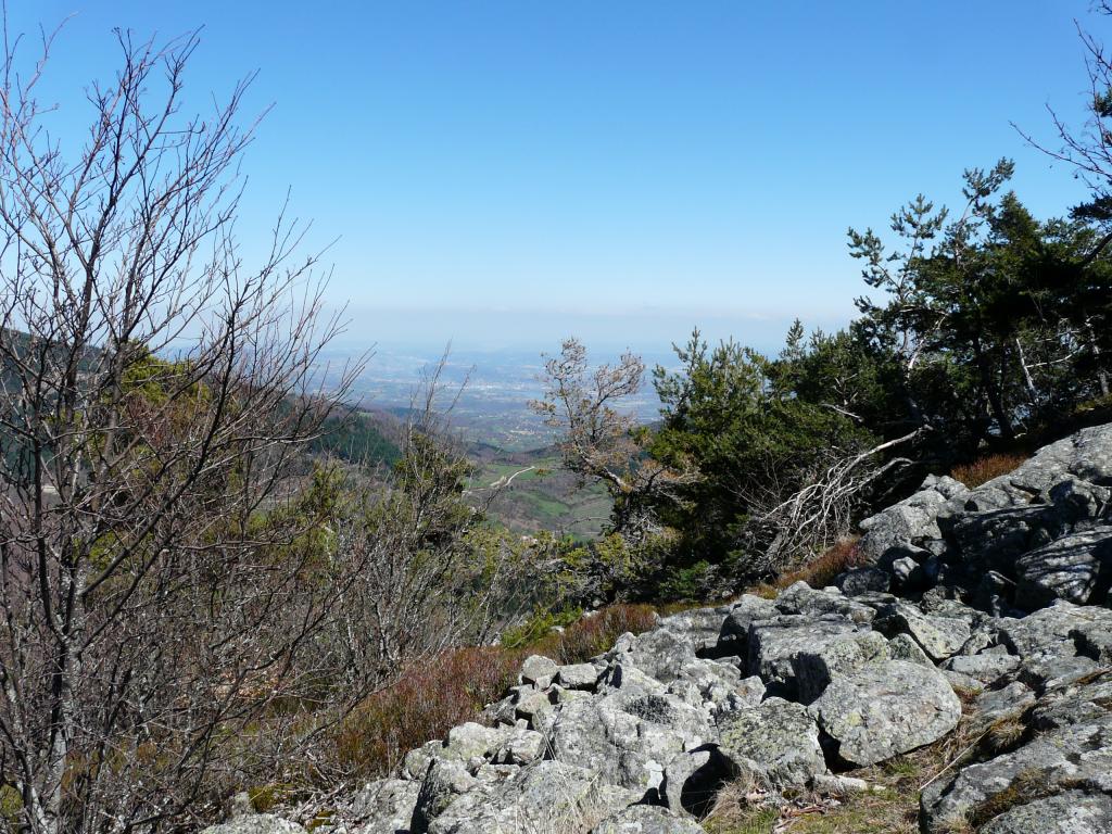 P1060350.jpg