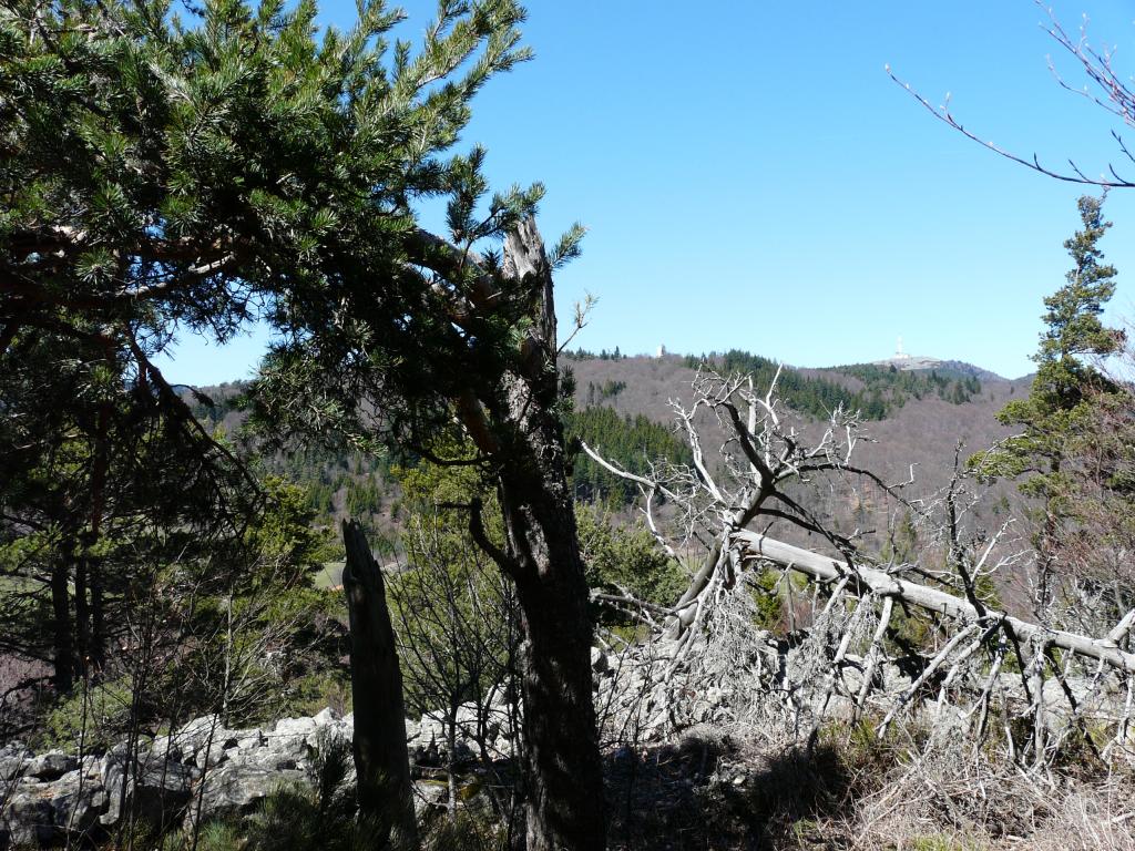 P1060352.jpg