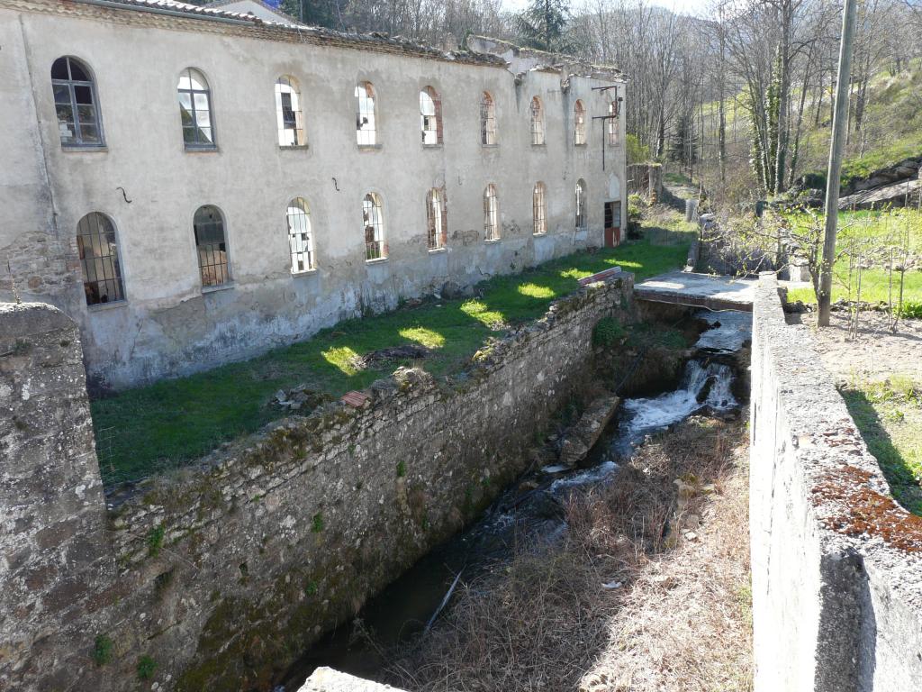 P1060372.jpg